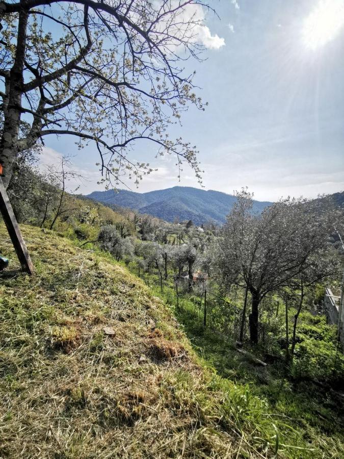 L'Angolo Del Levante -Monolocale Ligure Дейва Марина Екстериор снимка